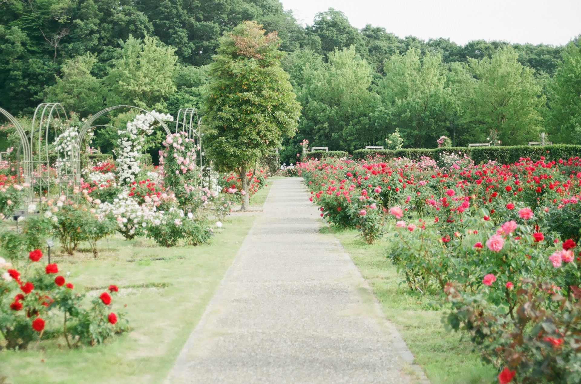 gartenmobel heerlen gartenmobel heerlen